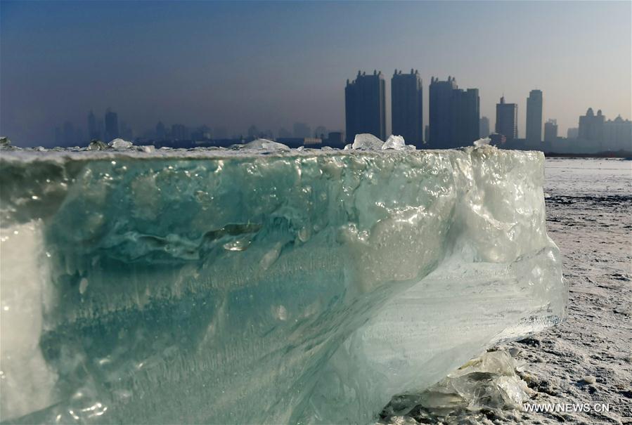 CHINA-HARBIN-ICE CUBE (CN)