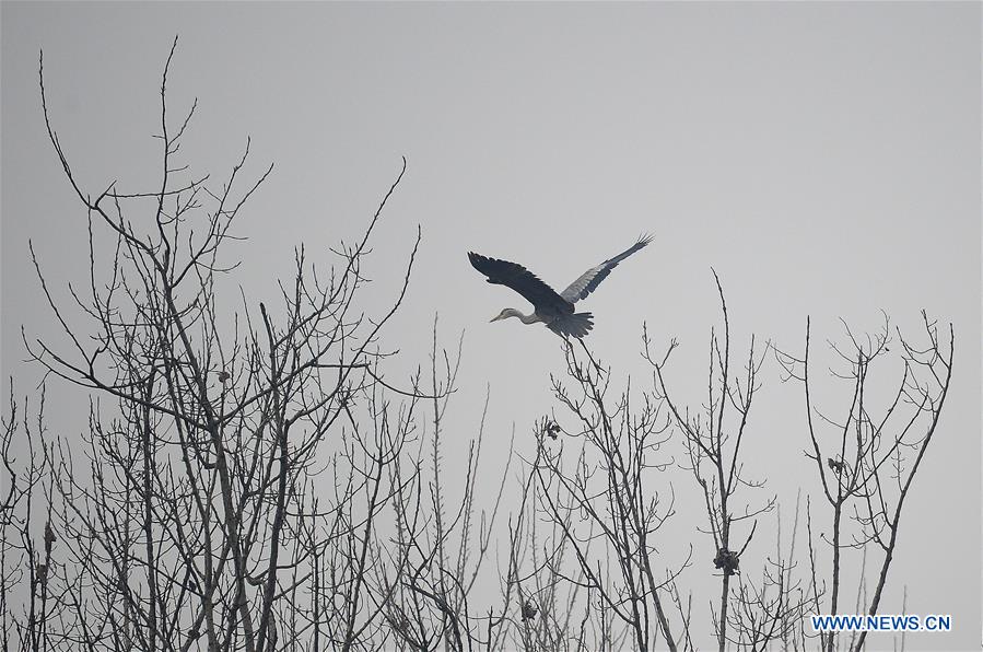 CHINA-SHAANXI-HANZHONG-SMOG (CN)