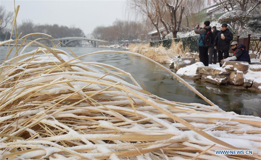 CHINA-JINAN-SNOW (CN)