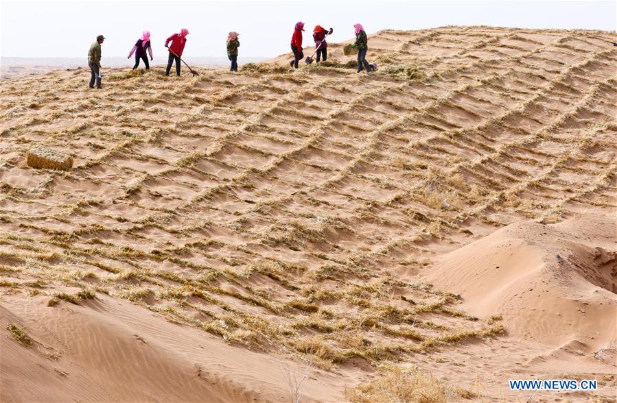 #CHINA-GANSU-DESERT CONTROL (CN)