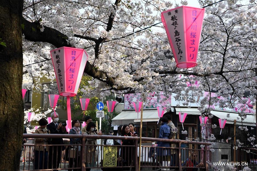 JAPAN-TOKYO-CHERRY BLOSSOMS