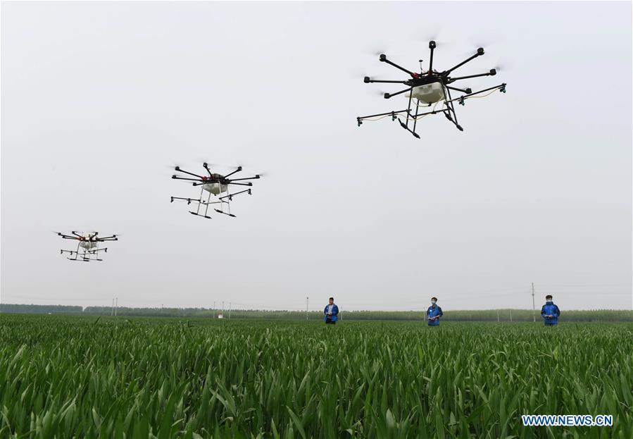 CHINA-HEBEI-SHIJIAZHUANG-FARM WORK (CN)