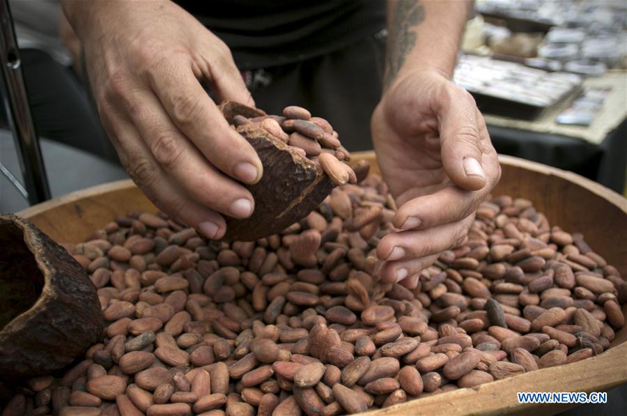 MEXICO-MEXICO CITY-CHOCOLATE AND COCOA FESTIVAL