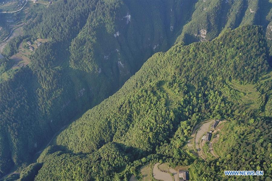 CHINA-GUIZHOU-NATURE RESERVE-SCENERY (CN)