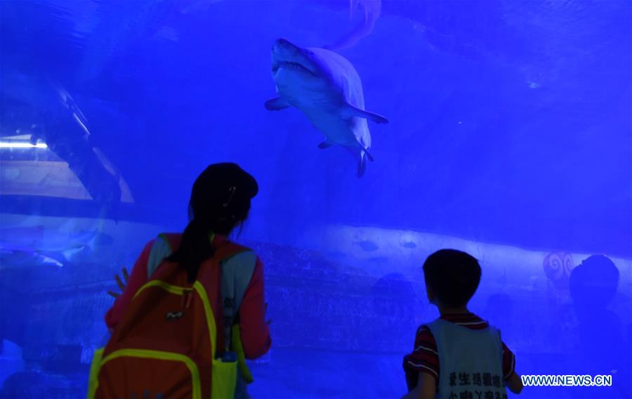 CHINA-QINGDAO-OCEAN PARK-CHILDREN-SLEEPOVER (CN)