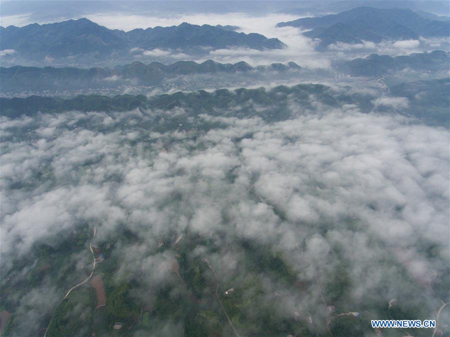 CHINA-SICHUAN-CHANGNING-BAMBOO FORESTS-CLOUDS (CN)