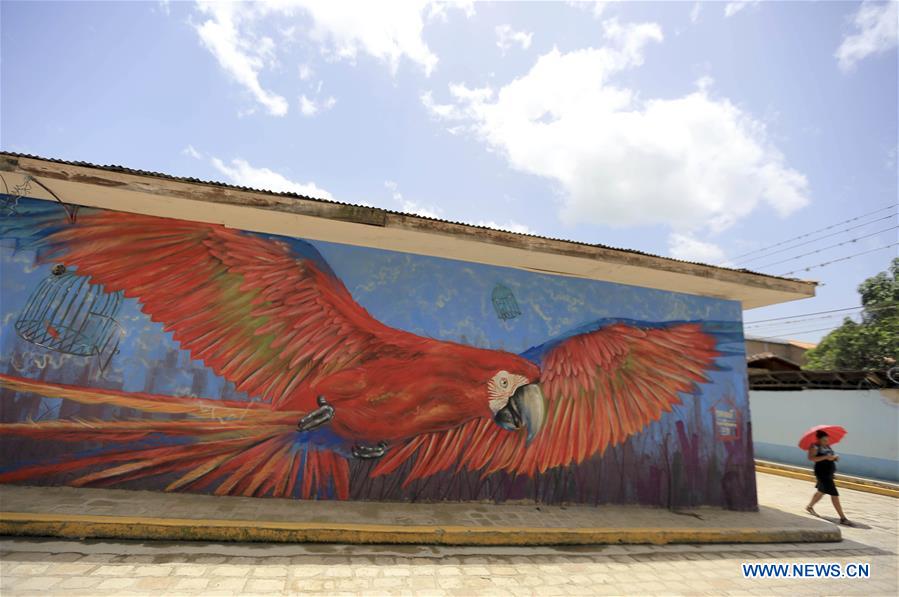 HONDURAS-SAN JUAN DE FLORES-MURALS