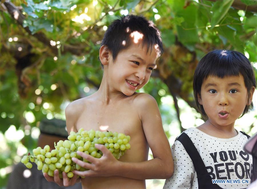 CHINA-XINJIANG-FRUITS (CN)