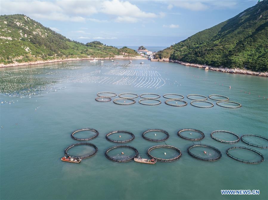 CHINA-ZHEJIANG-WENZHOU-MARICULTURE (CN)