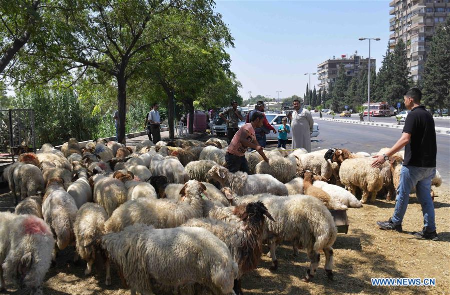 SYRIA-DAMASCUS-EID AL-ADHA-LIVESTOCK MARKET