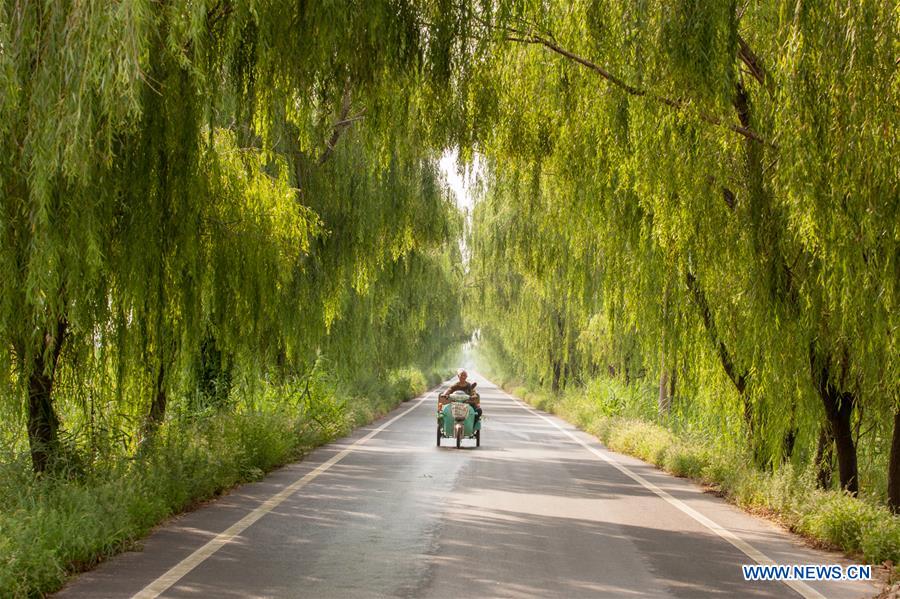 #CHINA-SHANDONG-GAOQING-ROAD (CN)