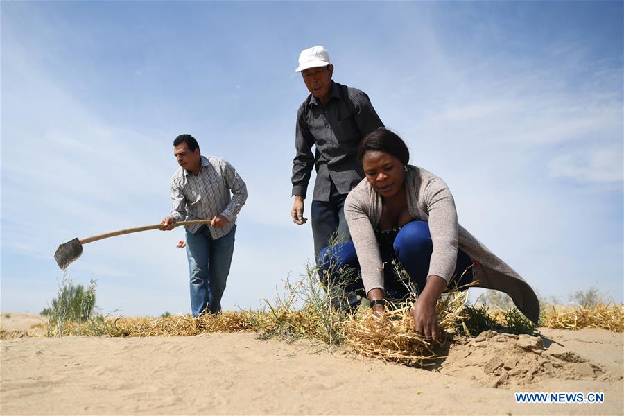 CHINA-GANSU-DESERTIFICATION COMBAT-AFRICAN STUDENT (CN)