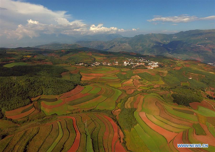 CHINA-YUNNAN-DONGCHUAN RED LAND-SCENERY (CN)