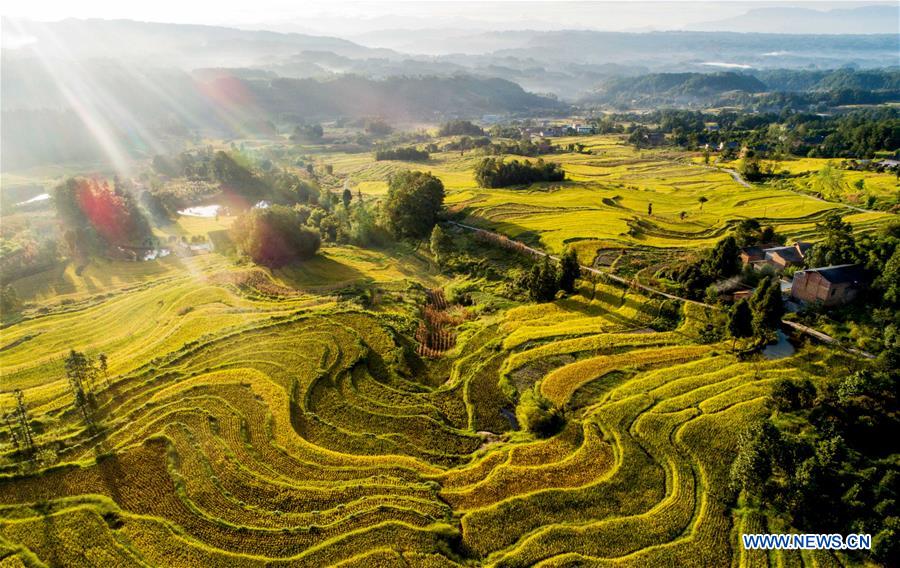 CHINA-AUTUMN-HARVEST(CN)