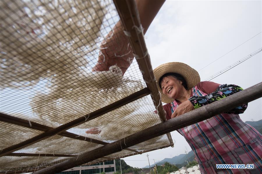 CHINA-ZHEJIANG-VILLAGE-NOODLE (CN)