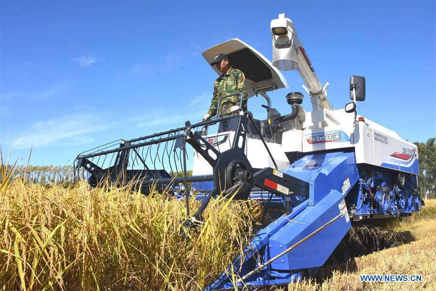 #CHINA-HEILONGJIANG-RICE-HARVEST (CN)