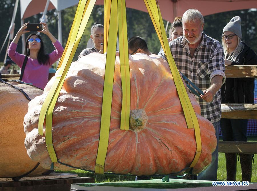 CANADA-LANGLEY-GIANT PUMPKIN WEIGH-OFF EVENT