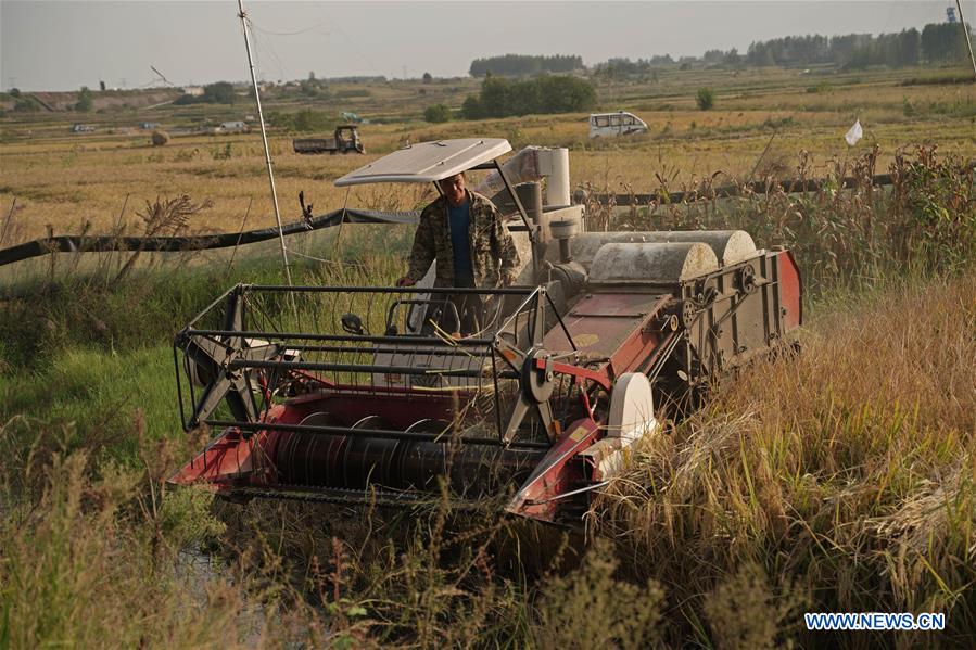 CHINA-ANHUI-FENGYANG-XIAOGANG VILLAGE-RURAL LAND REFORM (CN)