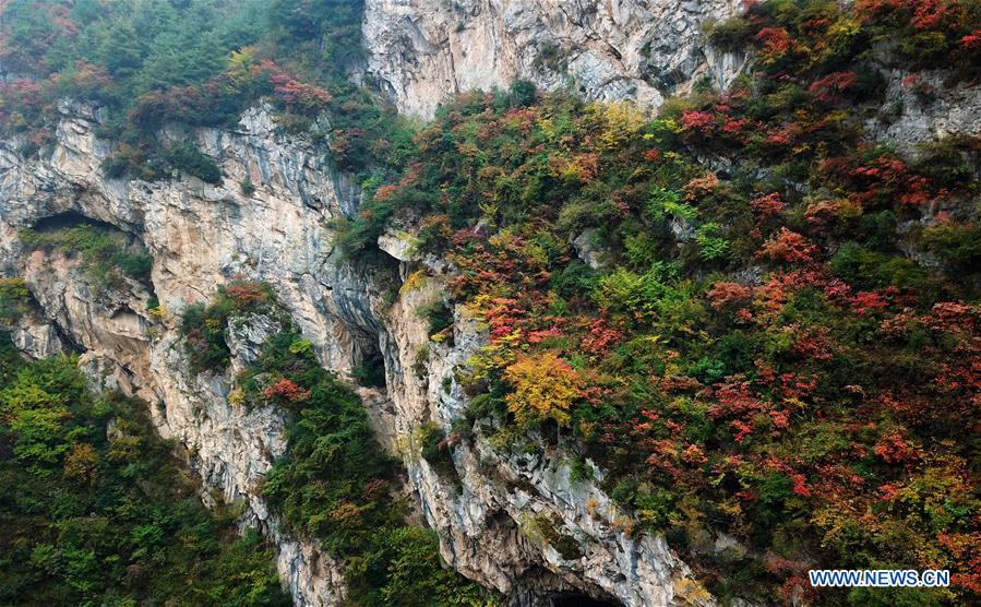 CHINA-GANSU-LONGNAN-AUTUMN-SCENERY (CN)