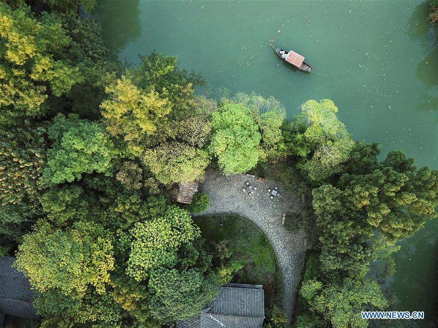 CHINA-HANGZHOU-XIXI WETLAND-AUTUMN SCENERY (CN)