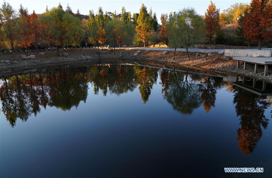 CHINA-BEIJING-MIYUN-AUTUMN SCENERY (CN)