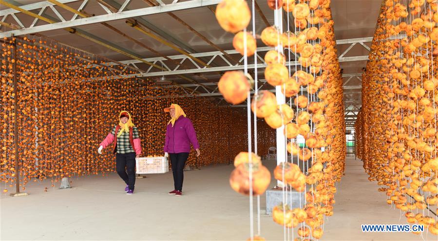 #CHINA-SHANDONG-LINYI-PERSIMMON (CN) 