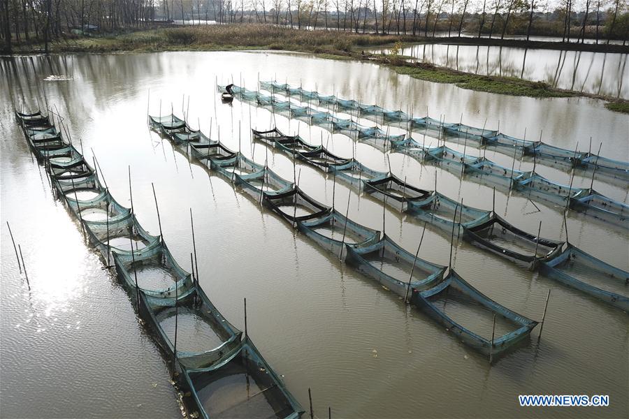 #CHINA-JIANGSU-HUAIAN-AQUACULTURE-CRAB (CN)