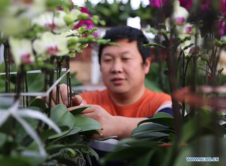 #CHINA-HEBEI-FLOWER INDUSTRY (CN)