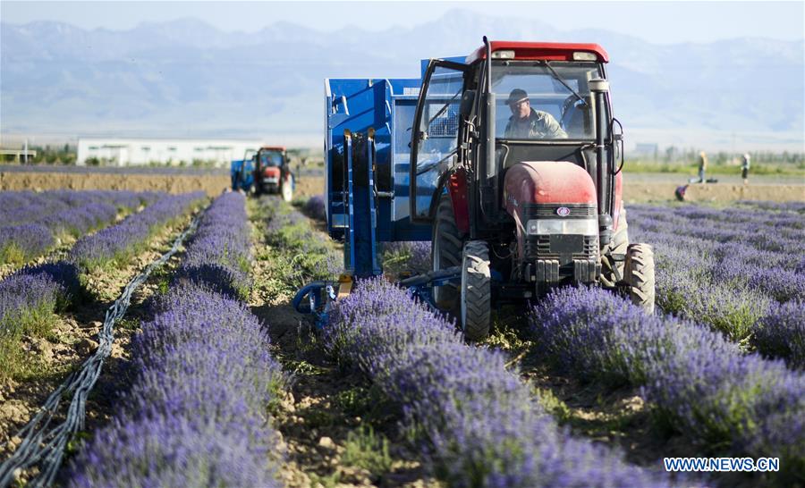 CHINA-AGRICULTURE-MECHANIZATION RATE (CN)