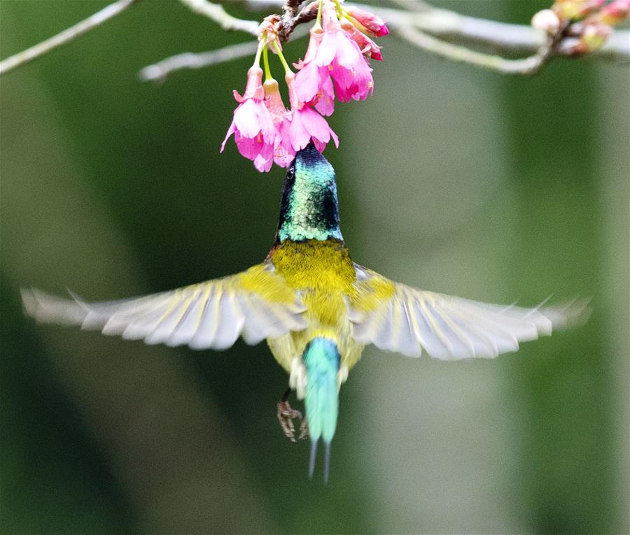 XINHUA PHOTOS OF THE DAY