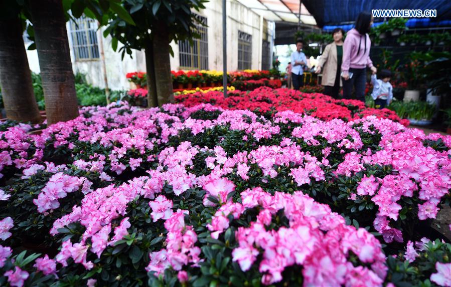 CHINA-HAINAN-FLOWER MARKET (CN)