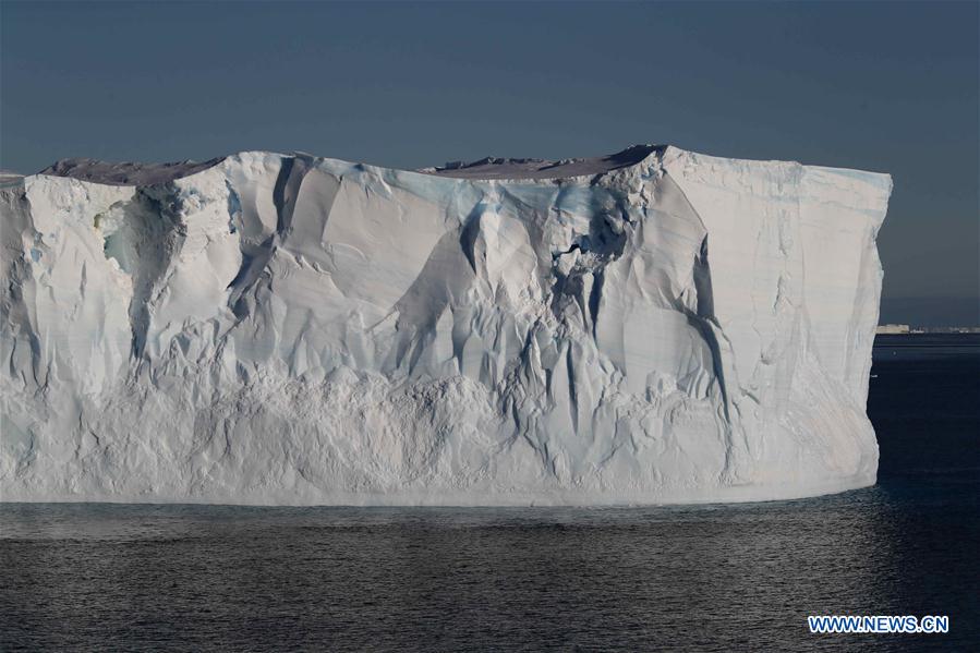 ANTARCTICA-CHINA-XUELONG-ANIMAL (CN)