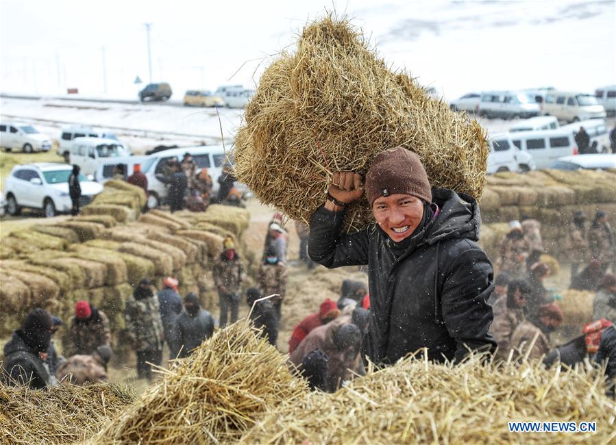 XINHUA PHOTOS OF THE DAY