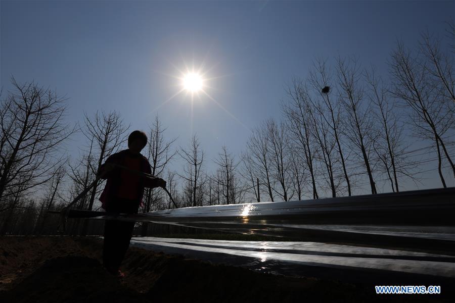 #CHINA-SPRING-FARM WORK (CN)