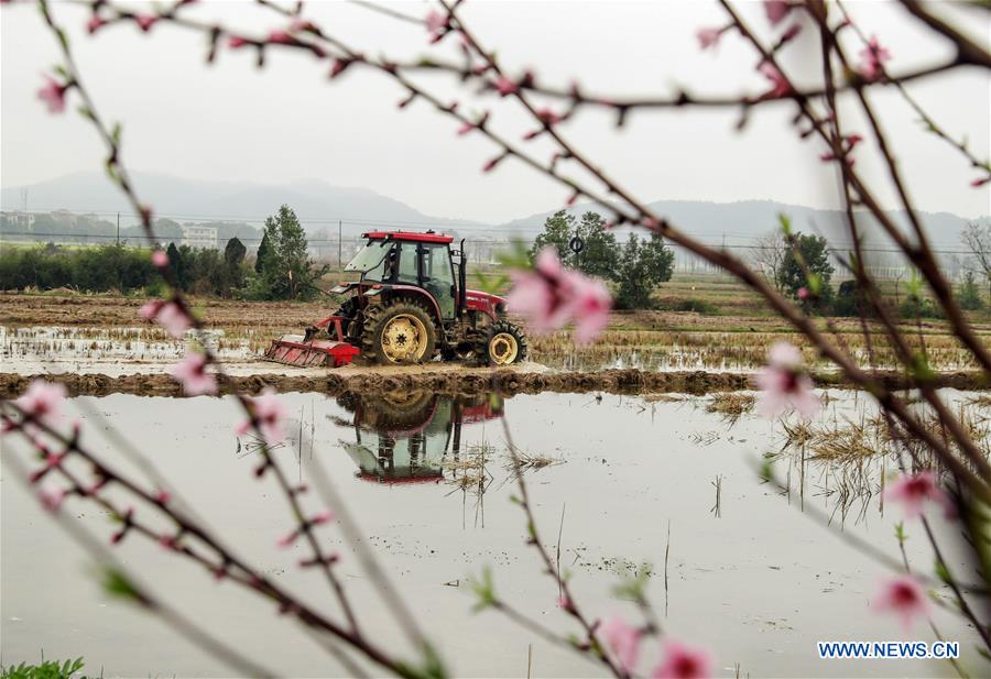 #CHINA-SPRING-FARM WORK (CN)