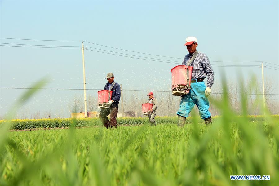 #CHINA-SPRING-FARMING (CN)