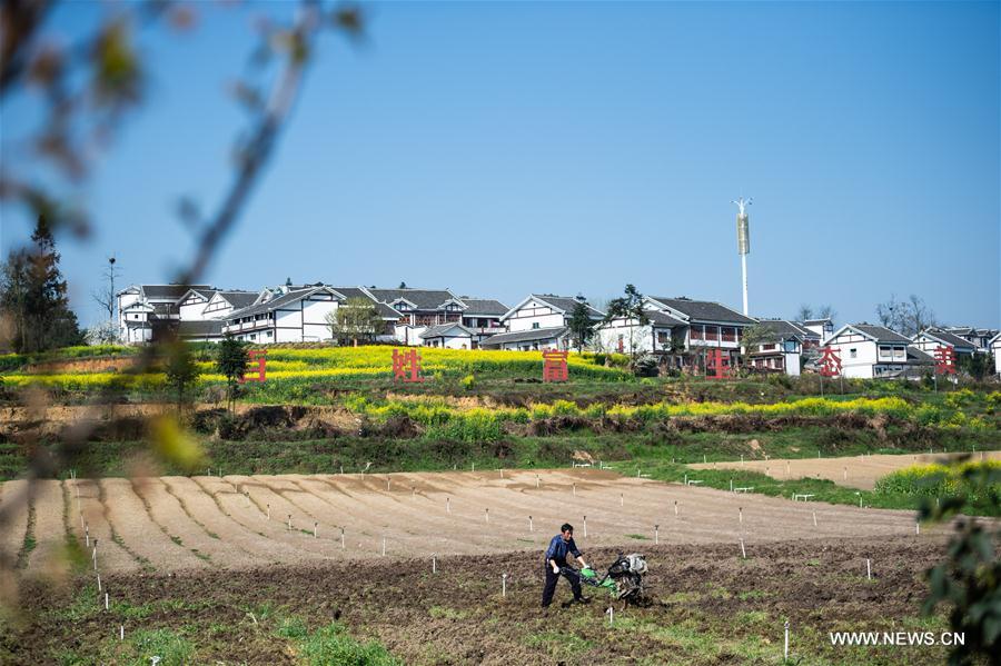 CHINA-CHUNFEN-FARM WORK(CN)