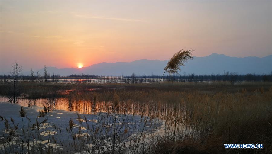 (BeijingCandid) CHINA-BEIJING-SPRING (CN)