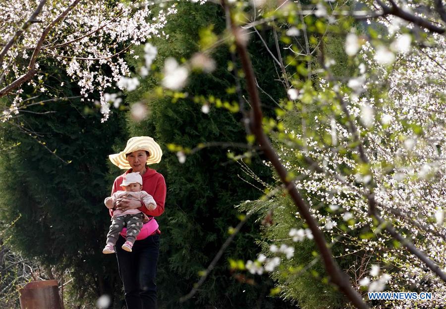 CHINA-HENAN-LUONING-SPRING SCENERY (CN)