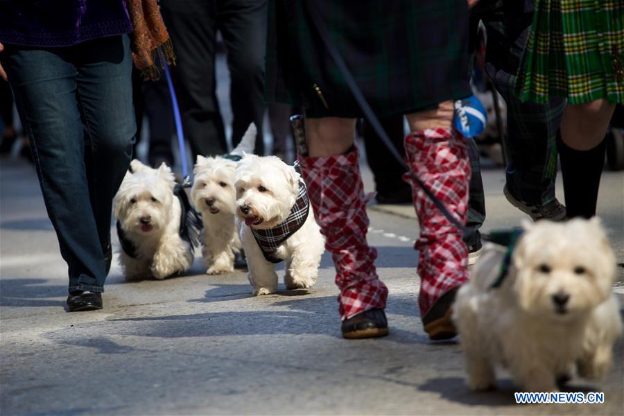 U.S.-NEW YORK-TARTAN DAY PARADE