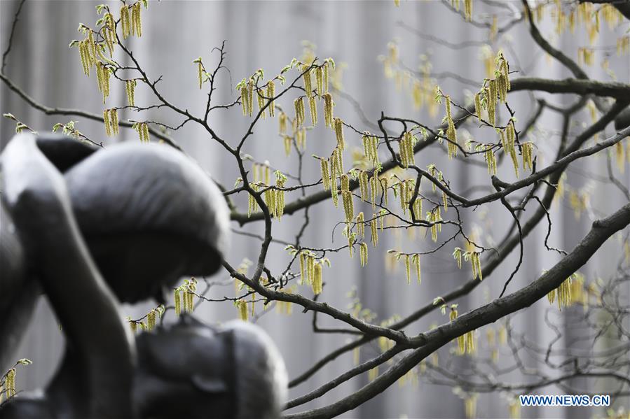 U.S.-NEW YORK-CENTRAL PARK-SPRING-LEISURE