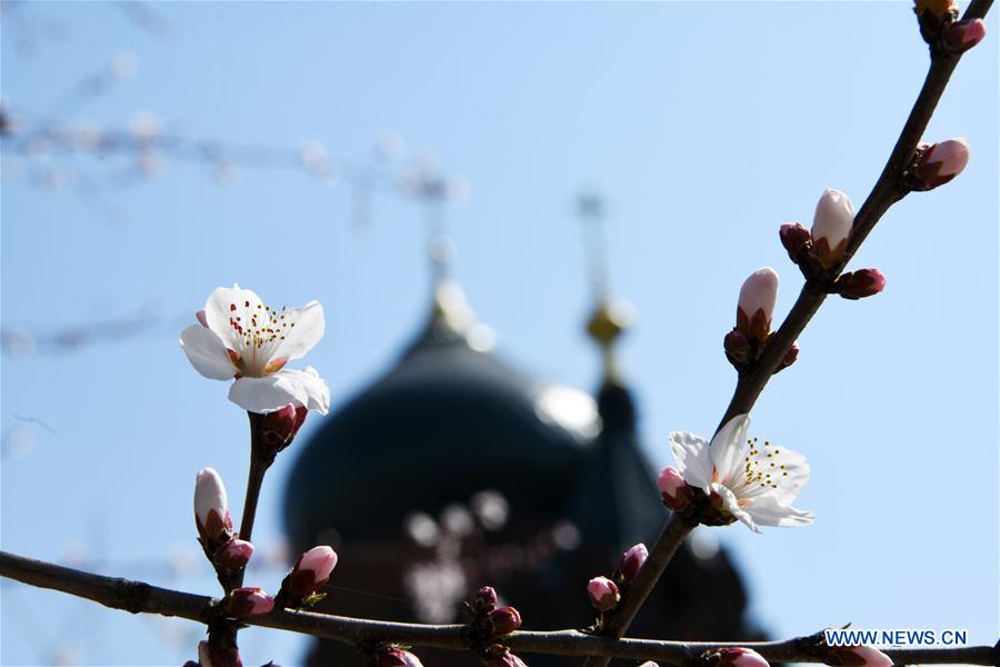 CHINA-HARBIN-SPRING (CN)