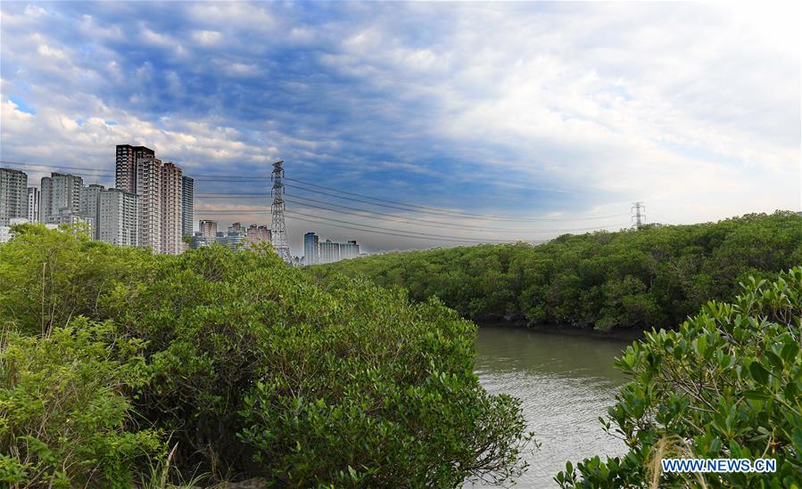 CHINA-TAMSUI RIVER-SCENERY (CN)