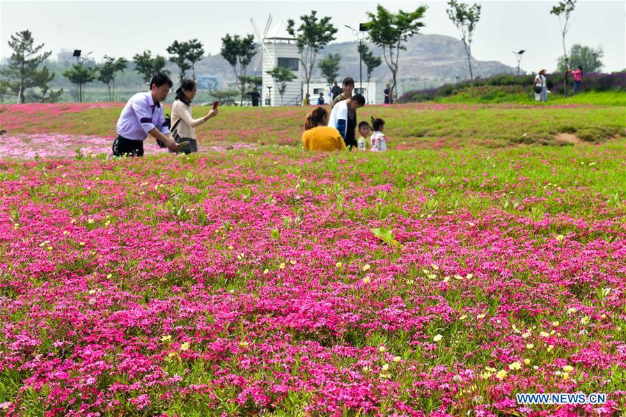 CHINA-SHANDONG-ANQIU-CULTURAL CREATIVITY INDUSTRIAL PARK (CN)