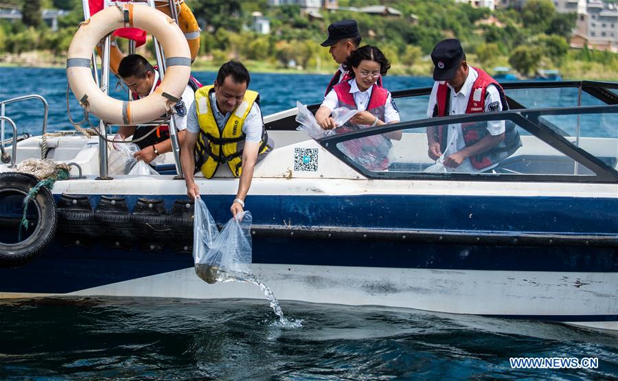 CHINA-YUNNAN-FUXIAN LAKE-FISH FRIES-RELEASING (CN)