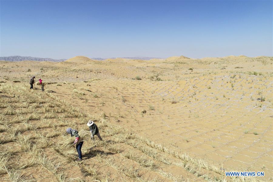 CHINA-NINGXIA-ZHONGWEI-DESERT CONTROL(CN)