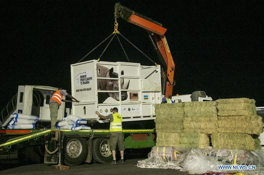 RWANDA-KIGALI-RHINOS-TRANSPORT