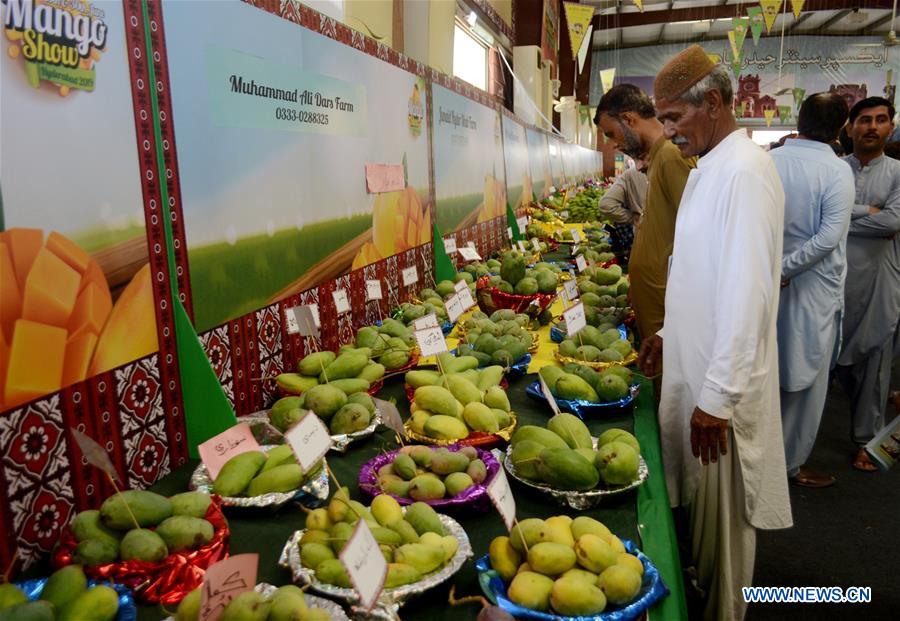 PAKISTAN-HYDERABAD-MANGO-FESTIVAL