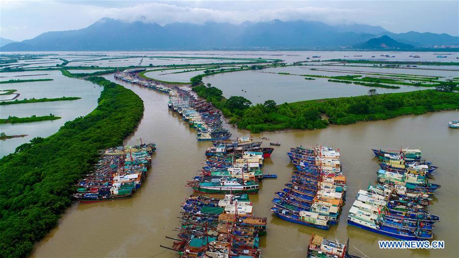 (EcoChina)CHINA-HORTICULTURAL EXPO-GUANGDONG (CN)