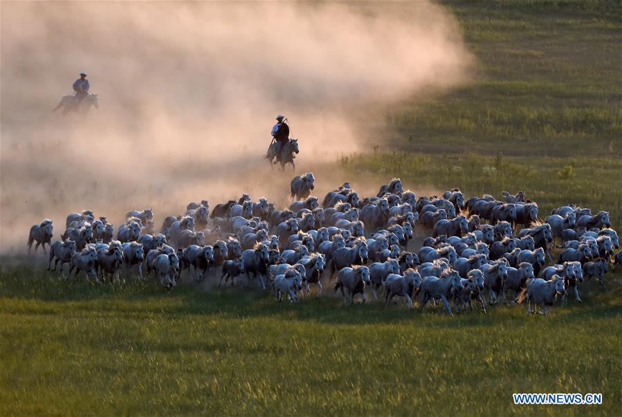 CHINA-INNER MONGOLIA-HORSE LASSOING (CN)